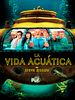 Cartel de La vida acuática con Steve Zissou