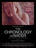 Cartel de The Chronology Of Water