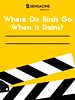 Cartel de Where Do Birds Go When It Rains?