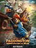 Cartel de Paddington Aventura En La Selva