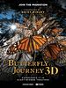 Cartel de Butterfly Journey