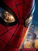 Cartel de Spider-Man: Un Nuevo Día