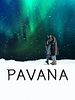 Cartel de Pavana