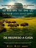 Cartel de De Regreso a Casa