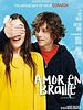 Cartel de Amor en braille