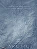 Cartel de Arctic