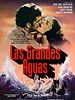 Cartel de Las grandes aguas
