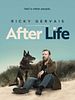 Cartel de After life: más allá de mi mujer