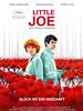Cartel de Little Joe: La Flor de la Felicidad