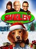 Cartel de Shelby