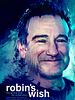 Cartel de Robin's Wish