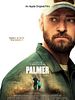 Cartel de Palmer