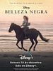 Cartel de Belleza negra