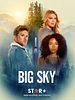 Cartel de Big Sky