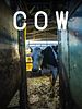 Cartel de Cow
