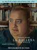 Cartel de La Ballena