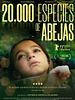 Cartel de 20.000 especies de abejas