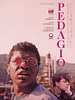 Cartel de Pedágio