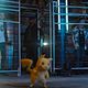 Rattata, Charmander, Pancham y Pikachu