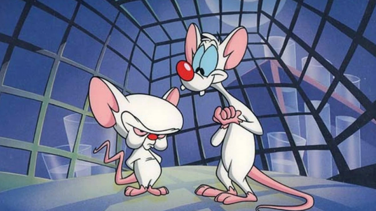 Pinky y Cerebro.