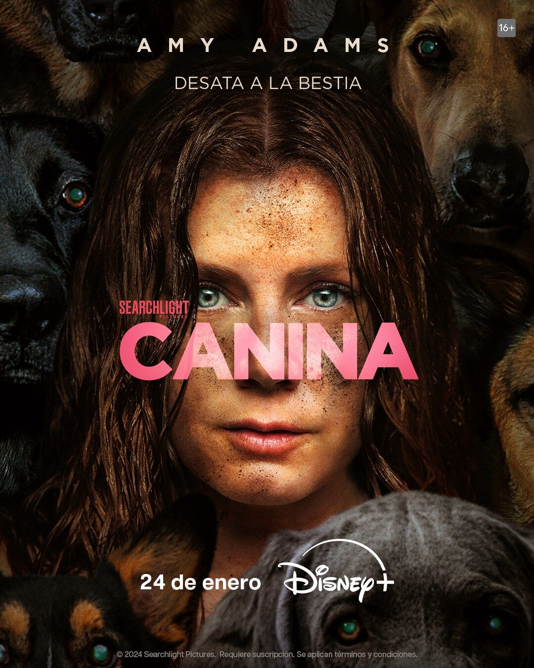 Canina - Película 2024.mx