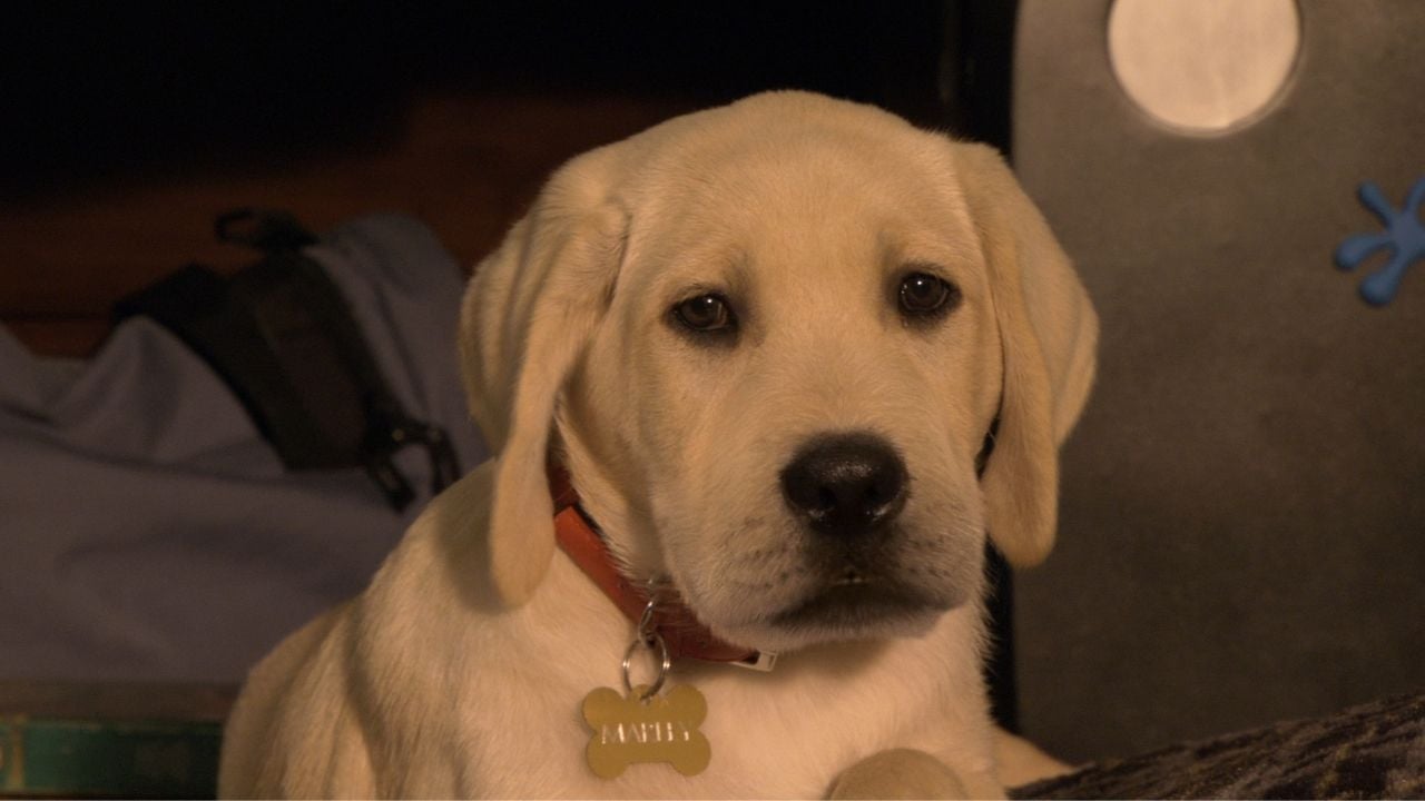 Marley