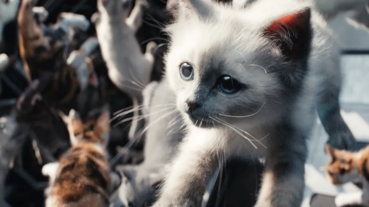 Los Flerken en 'The Marvels'.