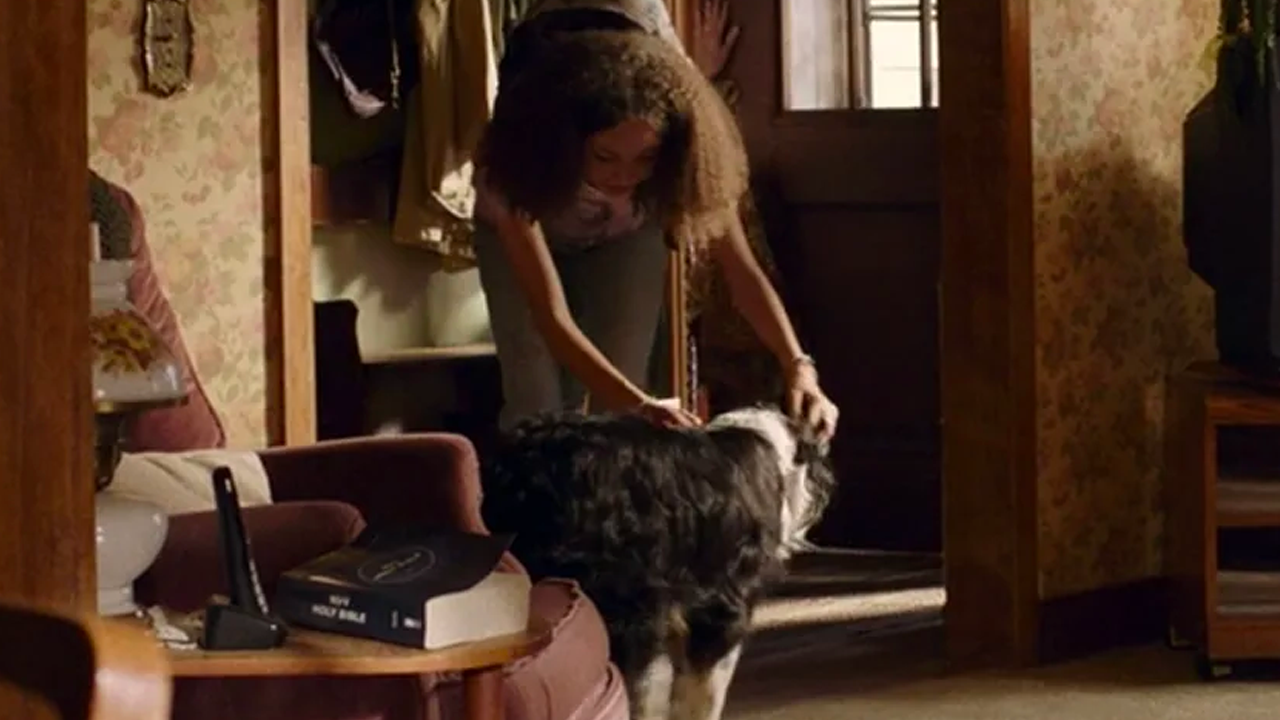 En la serie dejaron claro que los perros podían detectar a los infectados.