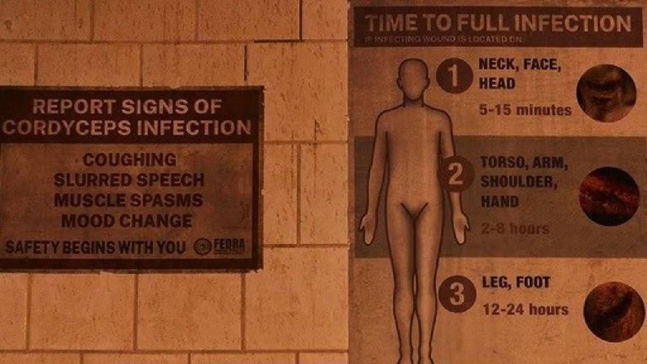 FEDRA, una dictadura militar