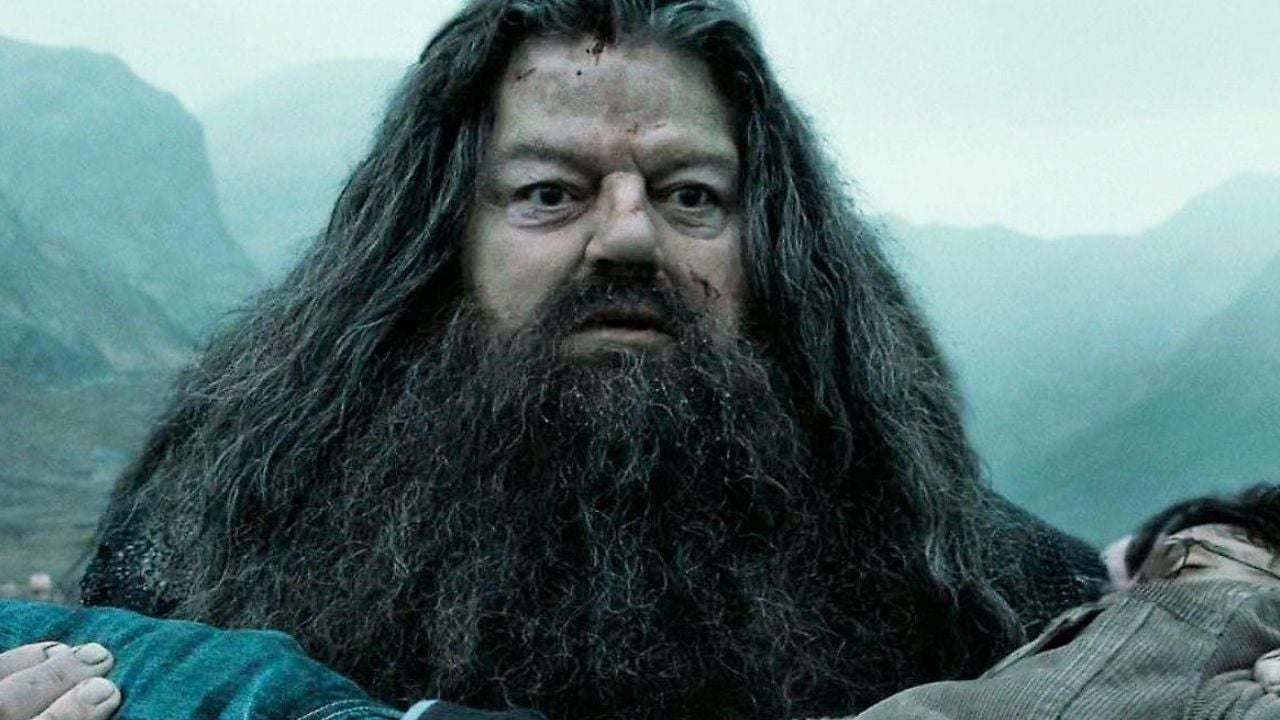 Hagrid cargando a Harry.