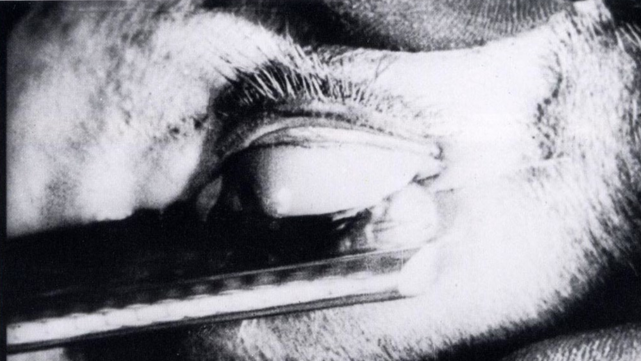 'Un perro andaluz' (Dir. Luis Buñuel y Salvador Dalí, 1929).