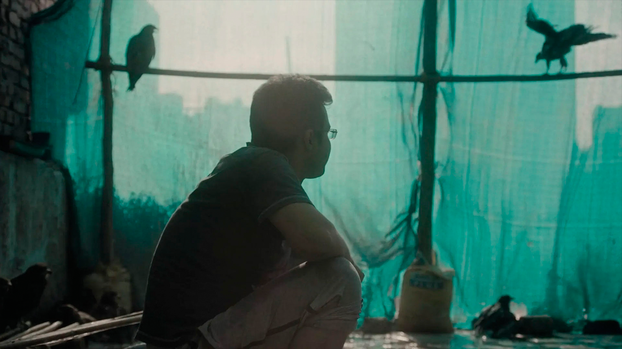 Still 'Todo lo que respira'