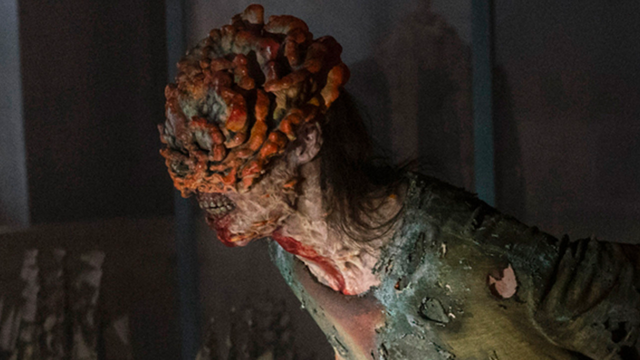 El hongo solo busca alimentarse y propagarse.