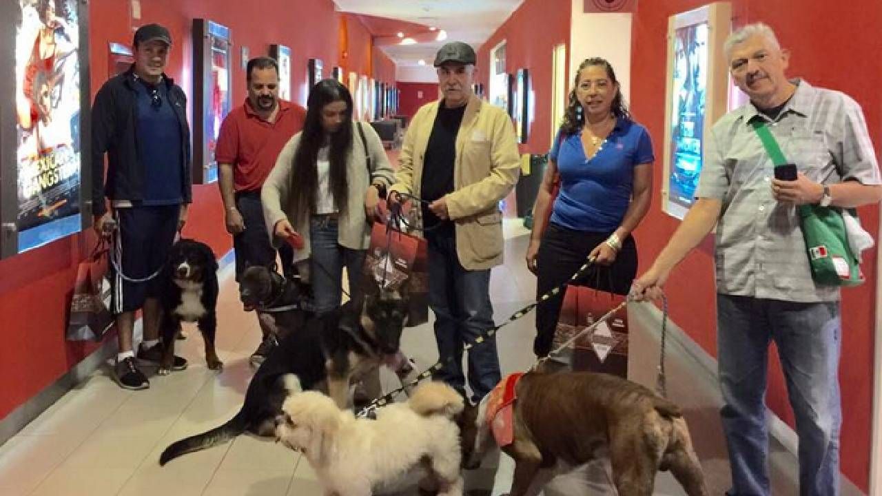 Perritos yendo con sus dueños a ver 'Cometa, la pelicula'