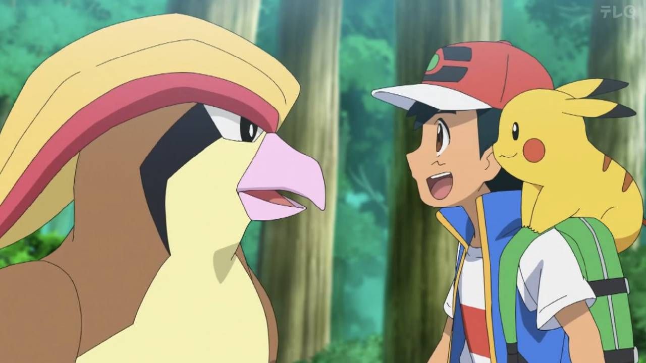 Volvimos a ver a Pidgeot