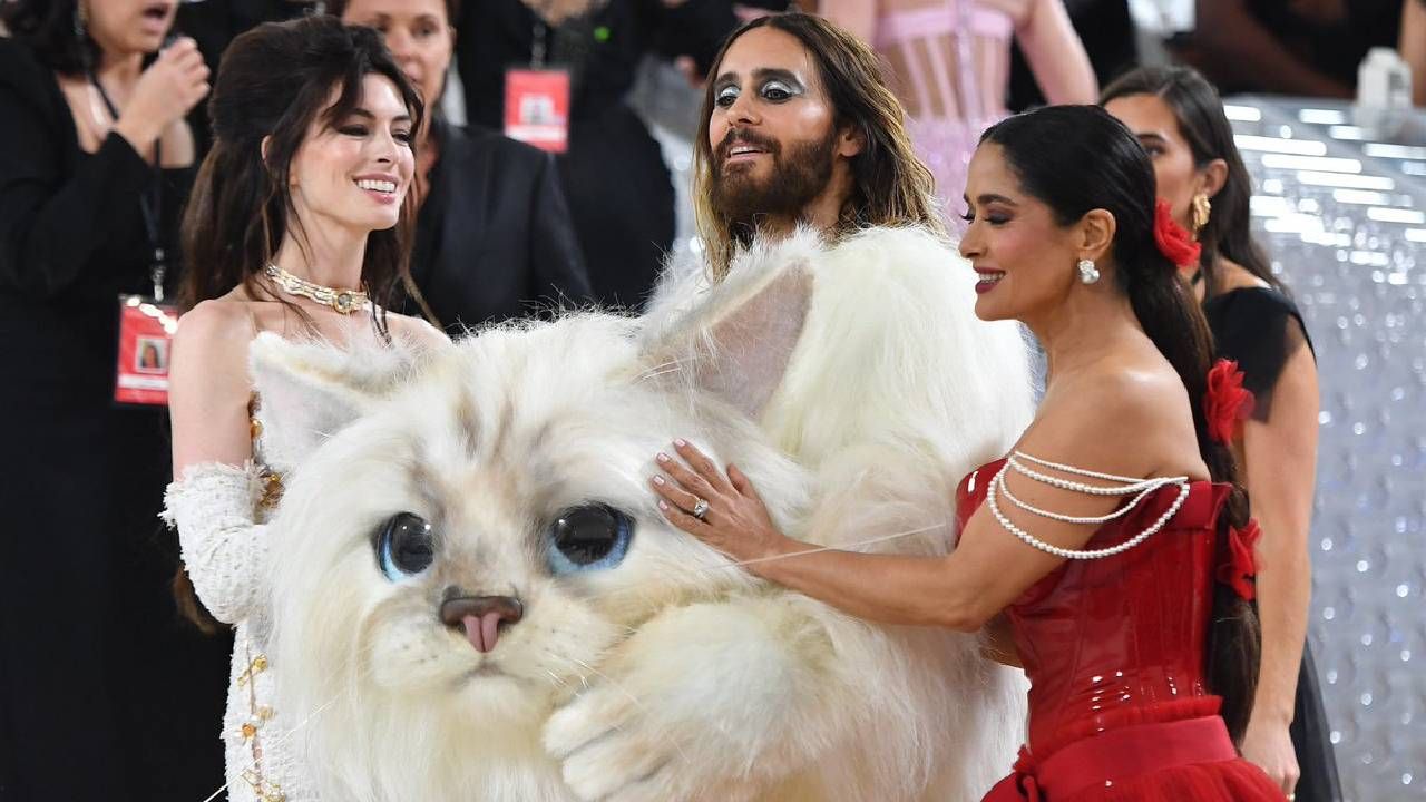Dos hermosas acariciando a un gato