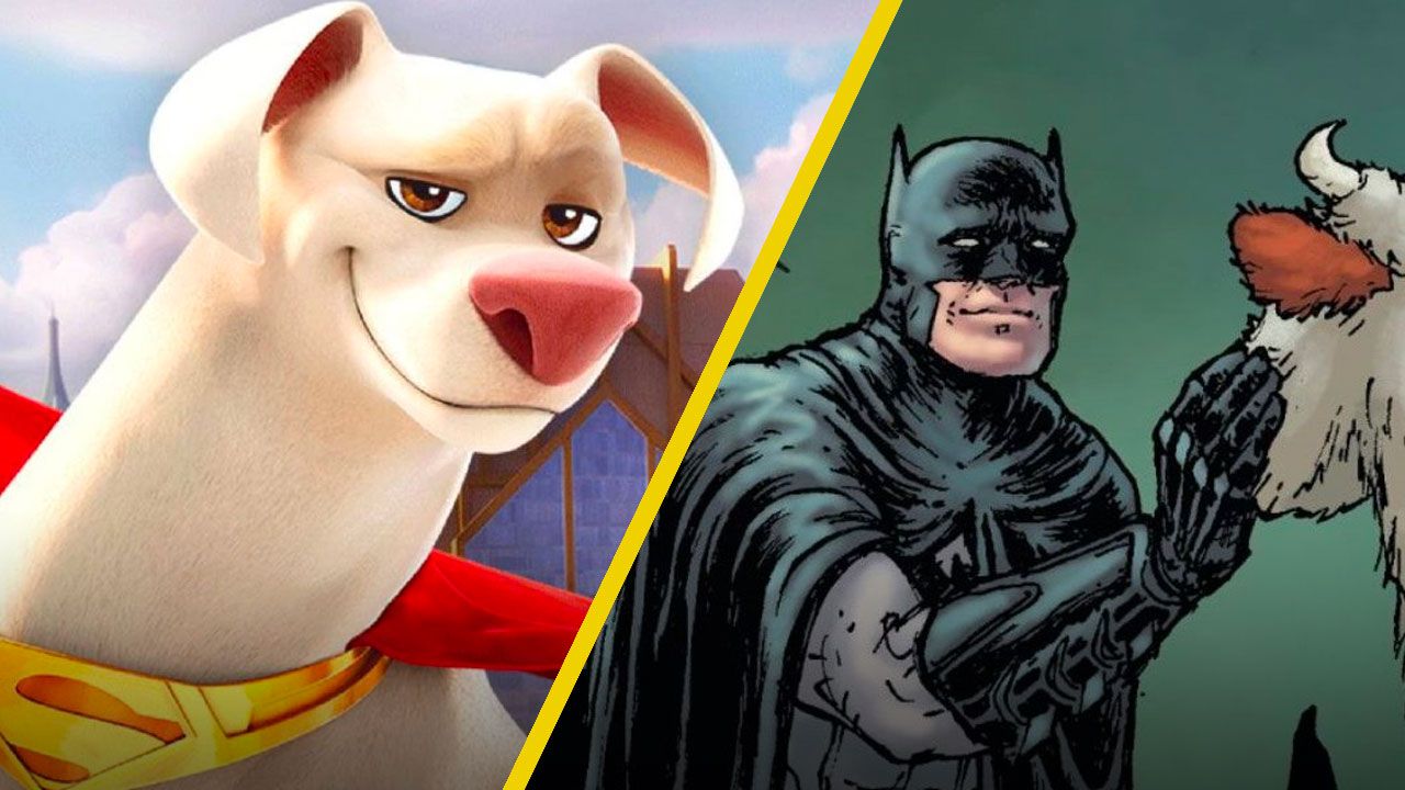 La bativaca que 'DC Liga de supermascotas' olvidó adaptar y es más campeona  que Krypto - Noticias de cine 