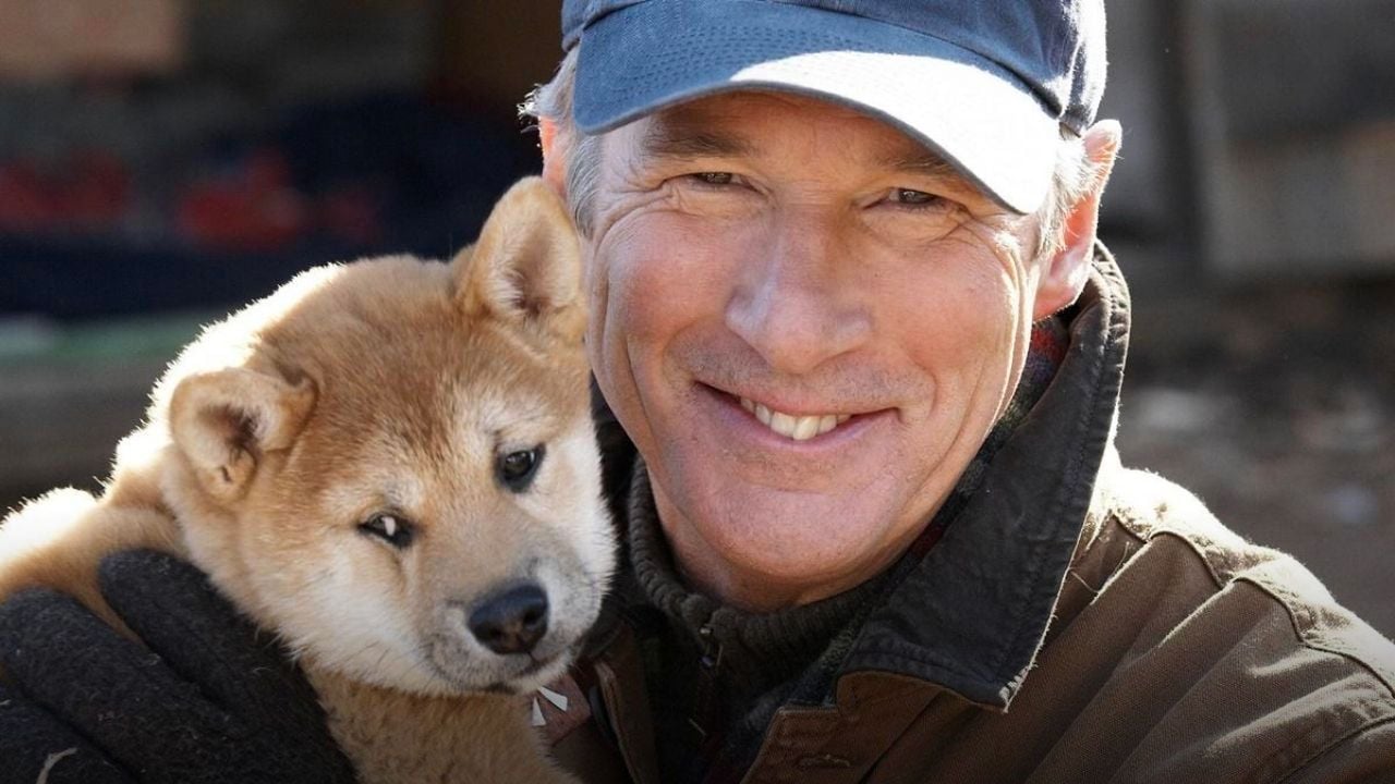 ‘Hachiko Siempre a tu lado’ ¿Qué fue de los perritos que actuaron