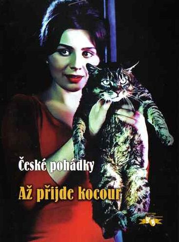 Un día, un gato - Película 1963.mx