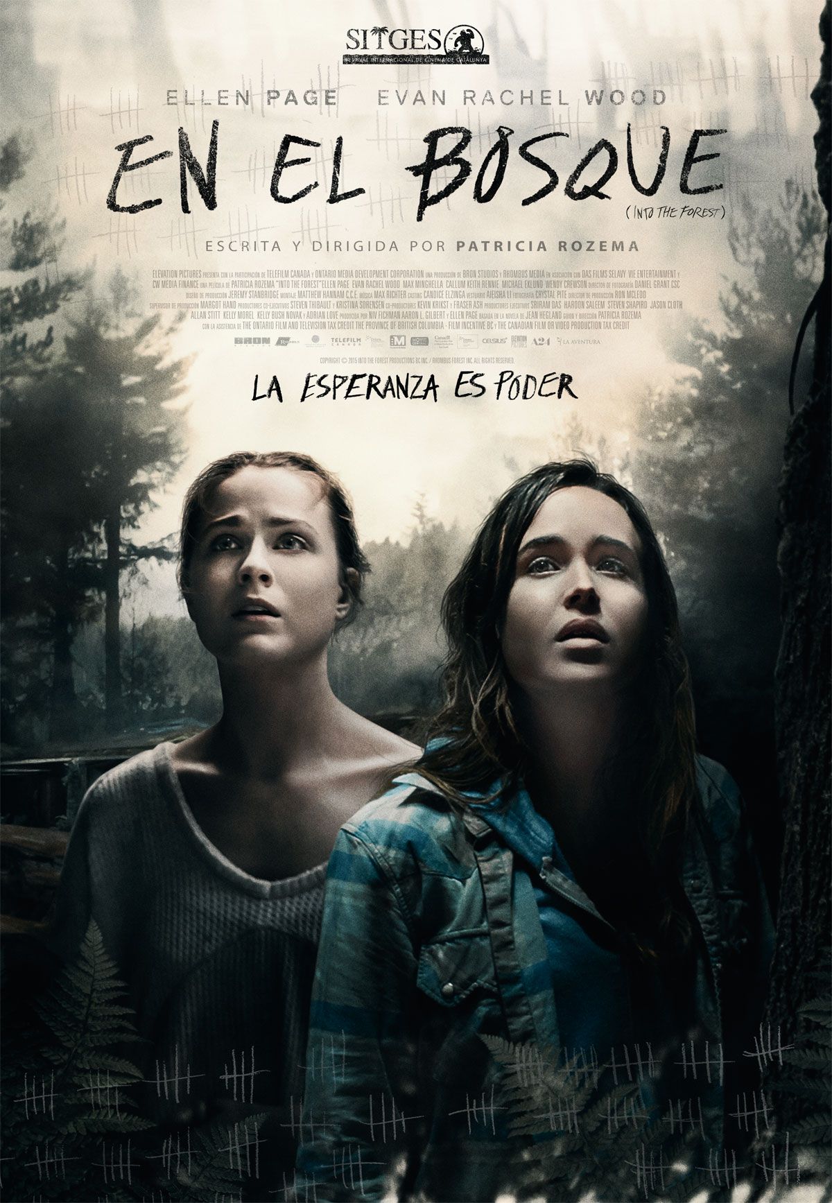 En el bosque - Película 2015.mx