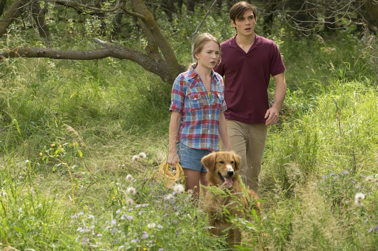 Foto de la película La razón de estar contigo - Foto 32 por un total de
