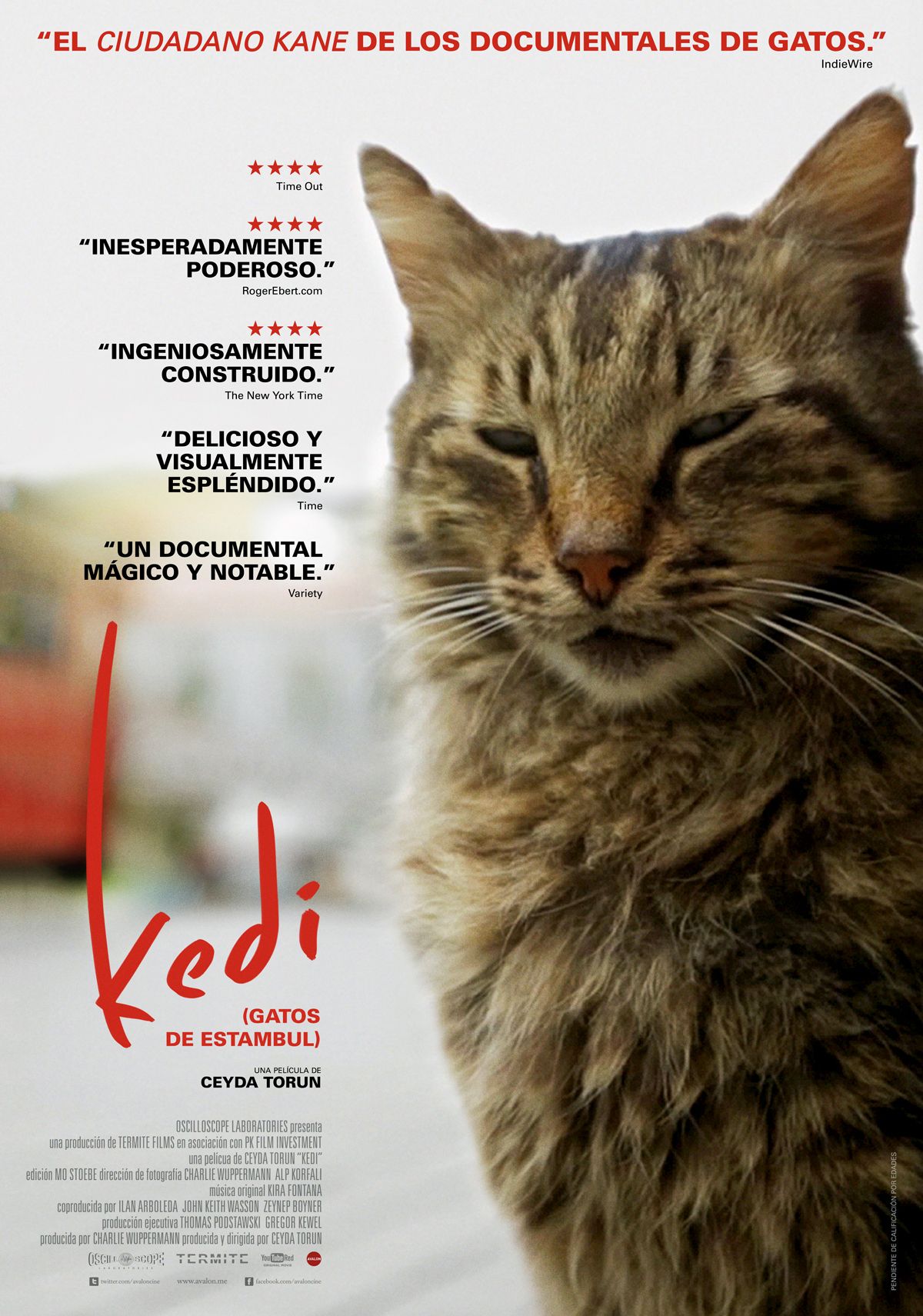 Kedi (Gatos de Estambul) - Documental 2016.mx
