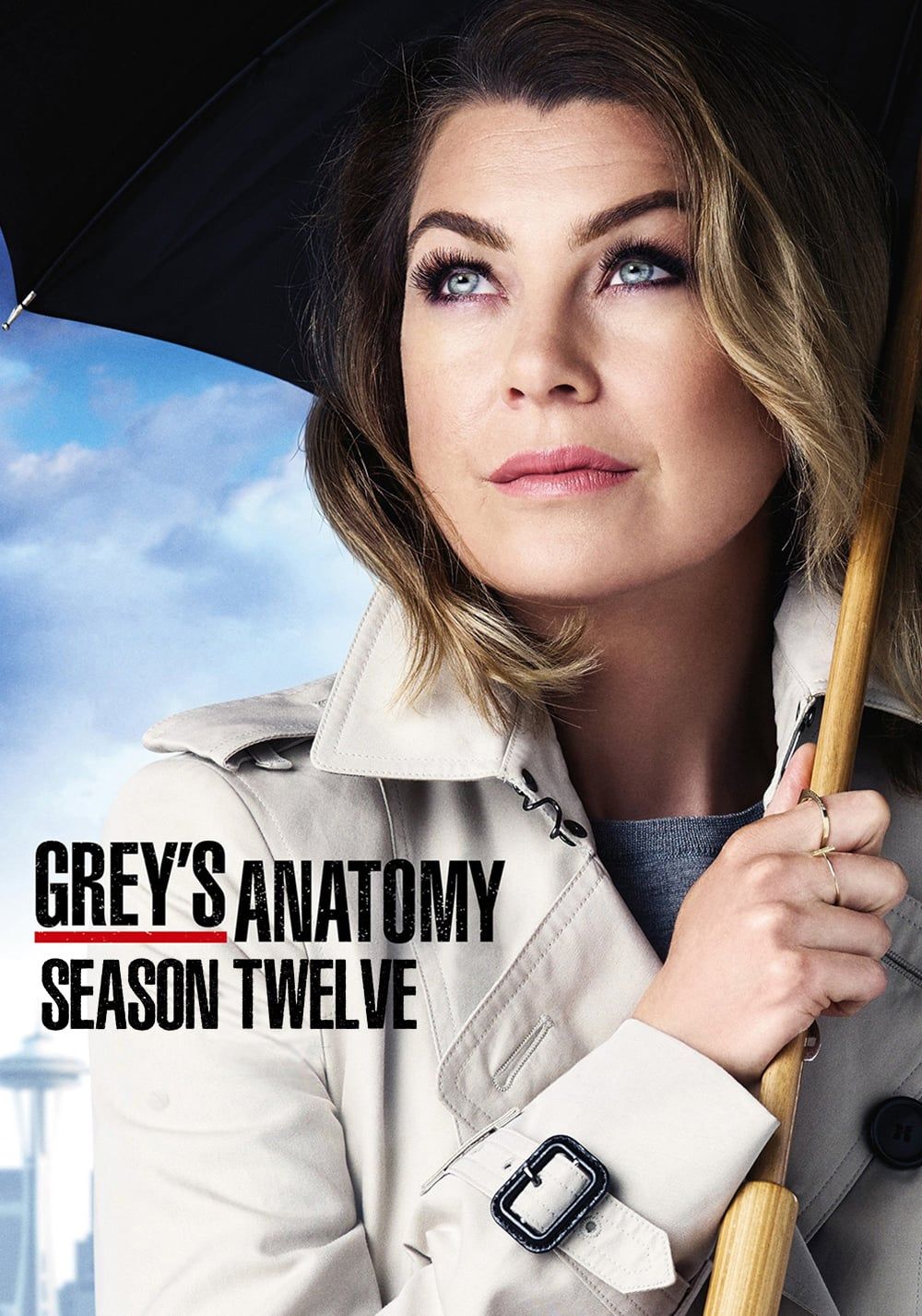 Grey's Anatomy Temporada 12 Grey's Anatomy Temporada 12