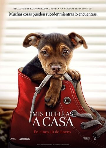 Mis huellas a casa - Película 2018.mx