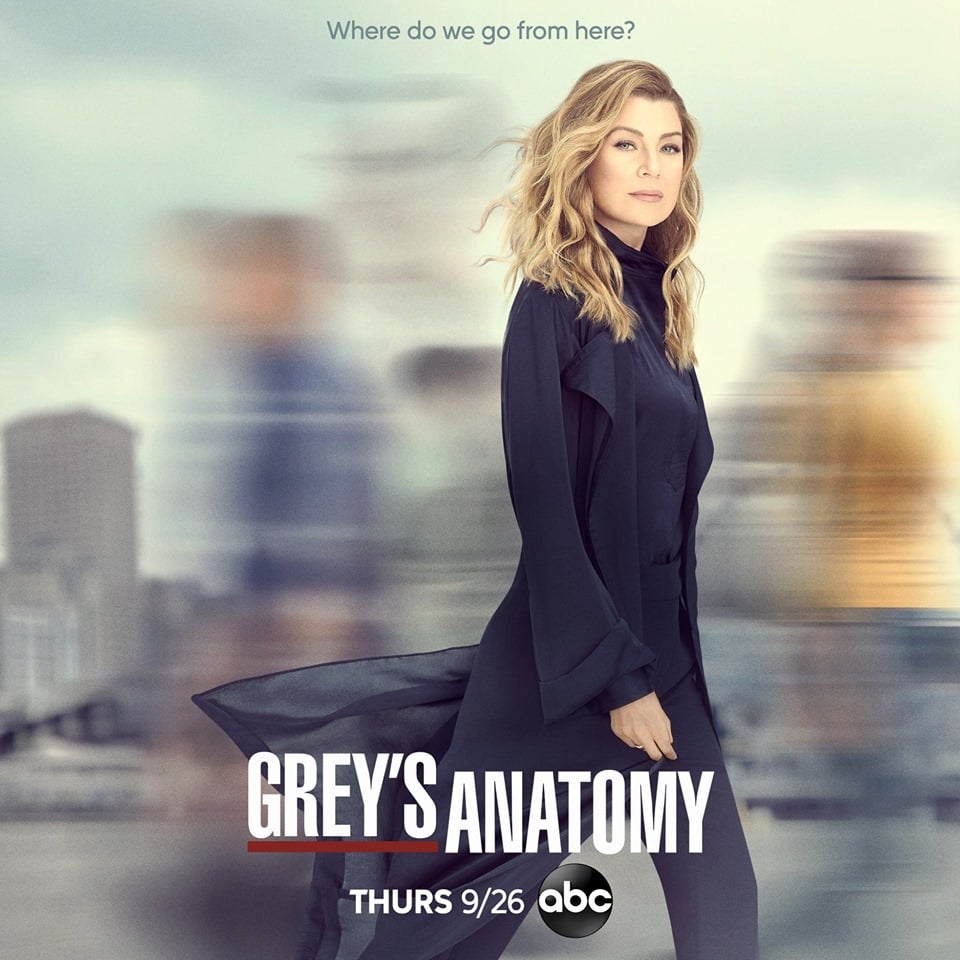 10+ Grey&#039;s Anatomy Season 16 Dvd Uk Pictures