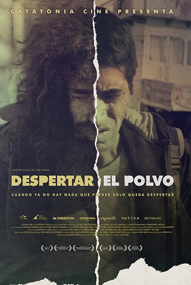 Despertar El Polvo Película 2013
