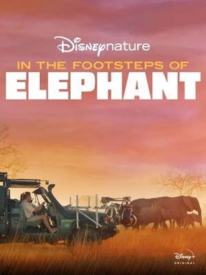 En los pasos del elefante - Película 2020.mx