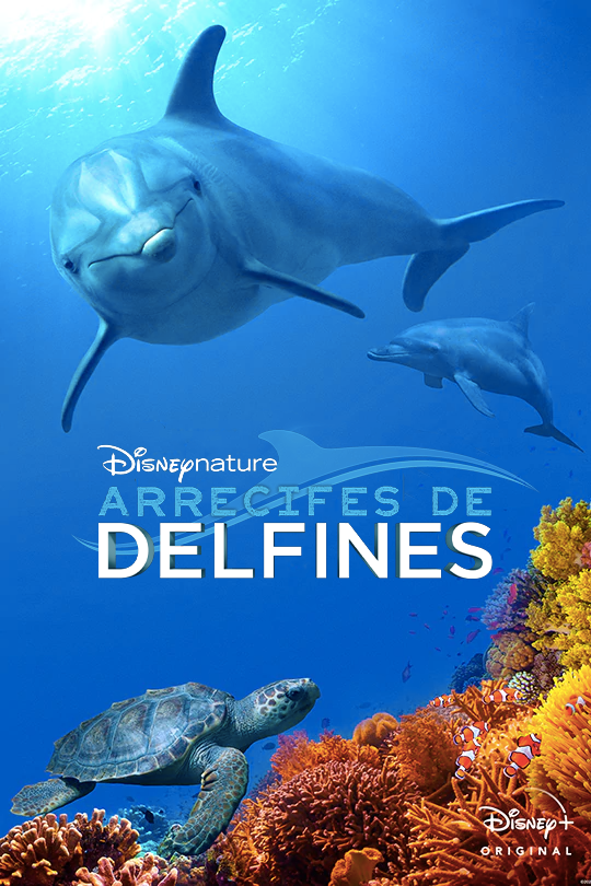 Arrecife de delfines - Documental 2018.mx