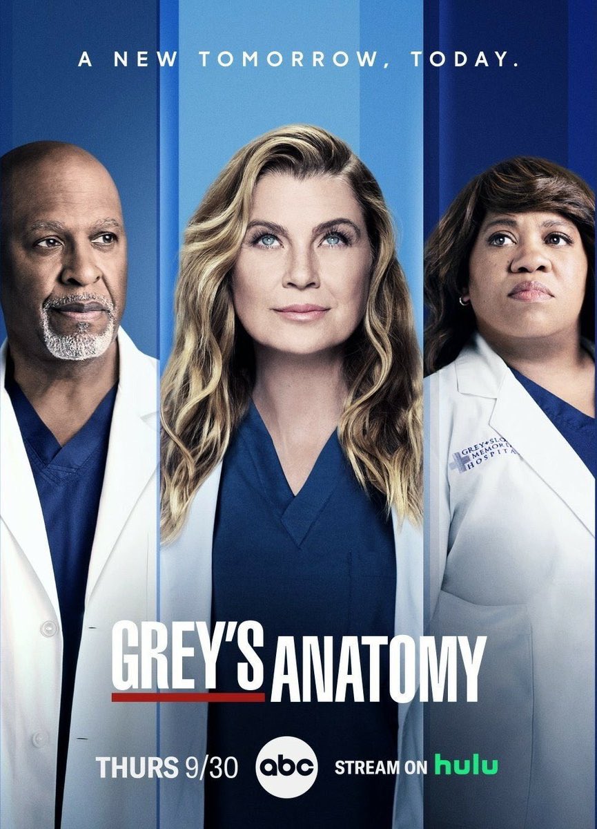 Greys Anatomy Temporada 18 Mx