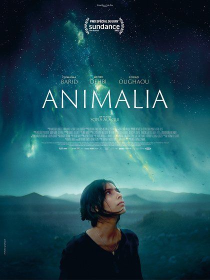 Animalia - Película 2023.mx